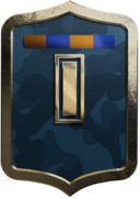 Tier