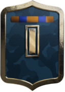 Tier