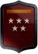 Tier