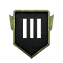 Tier