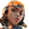 Raze