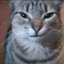 waronrights's Avatar