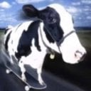 UGZ's Avatar
