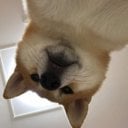 kRlSPY's Avatar