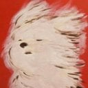 AlphaMindTactics's Avatar