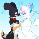 Astywq's Avatar