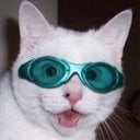 PikoRobim's Avatar