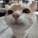 Closimity's Avatar
