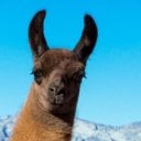 Veximous's Avatar