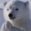 SMGLANSTER's Avatar